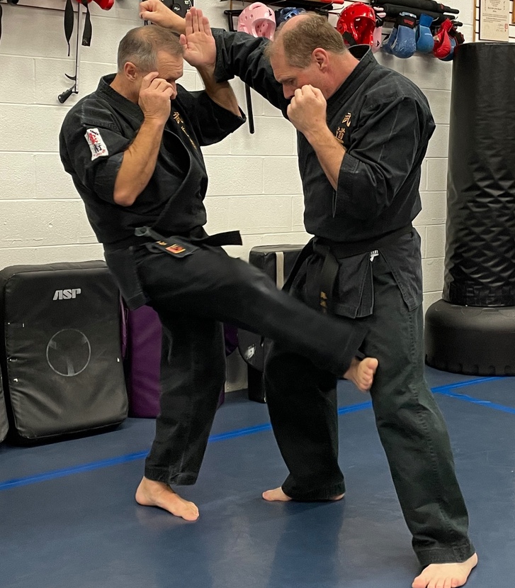 Ontario Jiu Jitsu Technical Seminar